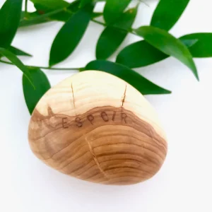Cultiver l'espoir, cadeau symbolique en bois