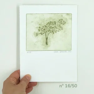 Le pin - tirage n° 16