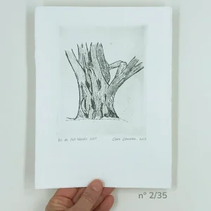Gravure, "le pin de Port Navalo", tirage 2