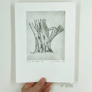 Gravure, "le pin de Port Navalo", tirage 1